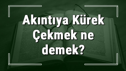 Akıntıya Kürek Çekmek ne demek Akıntıya Kürek Çekmek deyiminin anlamı ve cümle içinde örnek kullanımı (TDK)