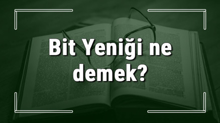 Bit Yeniği ne demek Bit Yeniği deyiminin anlamı ve örnek cümle içinde kullanımı (TDK)