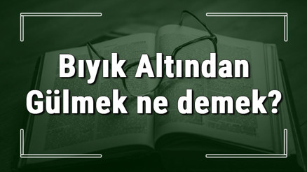 Bıyık Altından Gülmek ne demek Bıyık Altından Gülmek deyiminin anlamı ve örnek cümle içinde kullanımı (TDK)