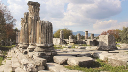Bilge zeytin ağacının gölgesinde Lagina
