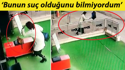 Ankarada kediye şiddet uygulayan kadına para cezası Ankarada kediye şiddet uygulayan kadına para cezası