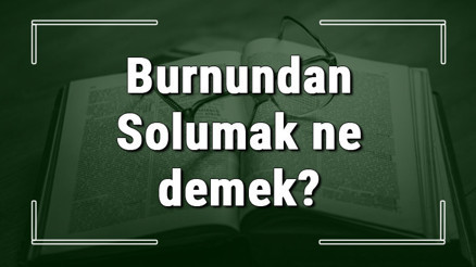 Burnundan Solumak ne demek Burnundan Solumak deyiminin anlamı ve örnek cümle içinde kullanımı (TDK)