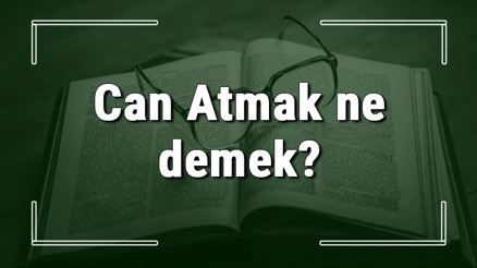 Can Atmak ne demek Can Atmak deyiminin anlamı ve örnek cümle içinde kullanımı (TDK)