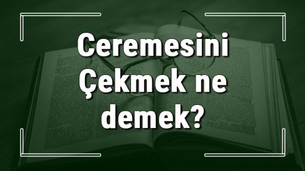 Ceremesini Çekmek ne demek Ceremesini Çekmek deyiminin anlamı ve örnek cümle içinde kullanımı (TDK) Ceremesini Çekmek ne demek Ceremesini Çekmek deyiminin anlamı ve örnek cümle içinde kullanımı (TDK)