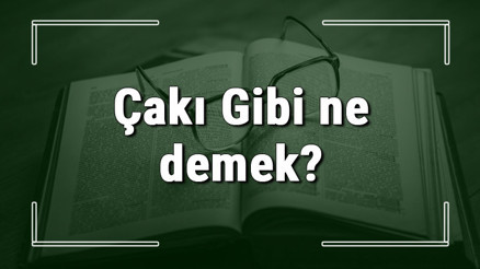 Çakı Gibi ne demek Çakı Gibi deyiminin anlamı ve örnek cümle içinde kullanımı (TDK)
