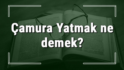 Çamura Yatmak ne demek Çamura Yatmak deyiminin anlamı ve örnek cümle içinde kullanımı (TDK)