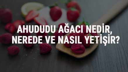 Ahududu Ağacı Nedir, Nerede Ve Nasıl Yetişir Ahududu Ağacı Özellikleri, Bakımı Ve Faydaları Hakkında Bilgi