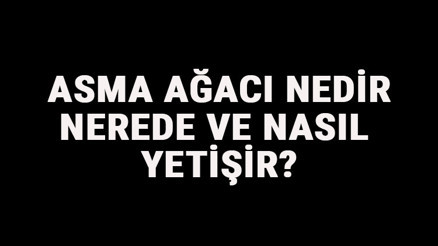 Asma Ağacı Nedir, Nerede Ve Nasıl Yetişir Asma Üzüm Ağacı Özellikleri, Bakımı Ve Faydaları Hakkında Bilgi