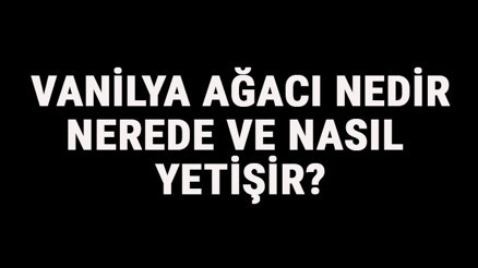 Vanilya Ağacı Nedir, Nerede Ve Nasıl Yetişir Vanilya Ağacı Özellikleri, Bakımı Ve Faydaları Hakkında Bilgi