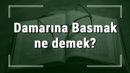Damarına Basmak ne demek Damarına Basmak deyiminin anlamı ve örnek cümle içinde kullanımı (TDK)