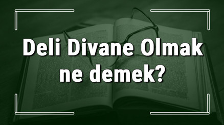 Deli Divane Olmak ne demek Deli Divane Olmak deyiminin anlamı ve örnek cümle içinde kullanımı (TDK) Deli Divane Olmak ne demek Deli Divane Olmak deyiminin anlamı ve örnek cümle içinde kullanımı (TDK)