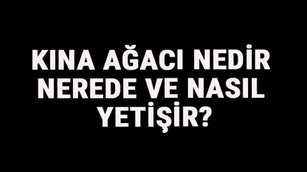 Kına Ağacı Nedir, Nerede Ve Nasıl Yetişir Kına Ağacı Özellikleri, Bakımı Ve Faydaları Hakkında Bilgi Kına Ağacı Nedir, Nerede Ve Nasıl Yetişir Kına Ağacı Özellikleri, Bakımı Ve Faydaları Hakkında Bilgi