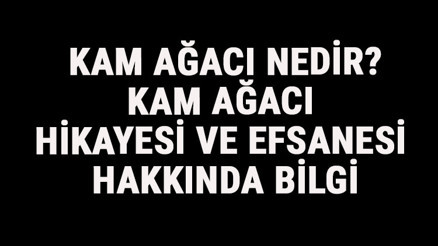 Kam Ağacı Nedir Kam Ağacı Hikayesi Ve Efsanesi Hakkında Bilgi