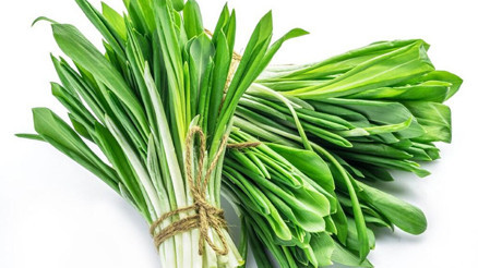 Çiriş otu nedir, nasıl tüketilir Çiriş otu faydaları