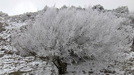 Spil Dağında seyrine doyumsuz kar manzaraları