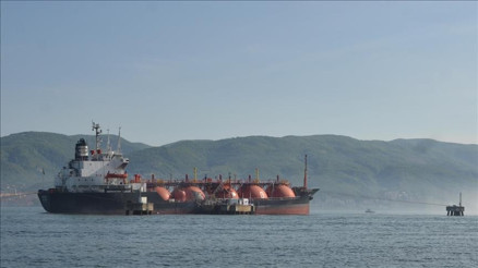 LPG ithalatı ocakta azaldı
