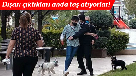 Evcil hayvan kuaföründen site yönetimine suç duyurusu Evcil hayvan kuaföründen site yönetimine suç duyurusu