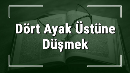 Dört Ayak Üstüne Düşmek deyiminin anlamı ve örnek cümle içinde kullanımı (TDK) Dört Ayak Üstüne Düşmek deyiminin anlamı ve örnek cümle içinde kullanımı (TDK)