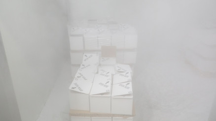 BioNTech-Pfizer Türkiyede