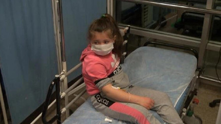 Kırıkkalede başıboş gezen pitpul, 8 yaşındaki çocuğa saldırdı