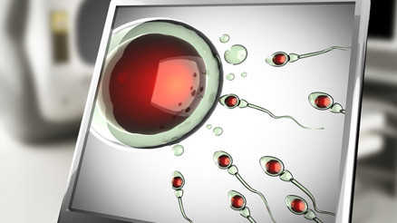 25 yıl içinde sperm sayısı sıfırlanır mı