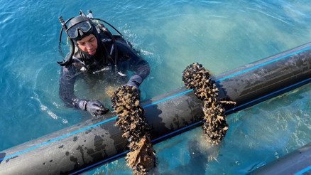 Hibe desteğiyle kurdu, kendi işinin patronu oldu Her aşamasını tek tek kontrol ediyor