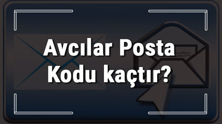 Avcılar Posta Kodu kaçtır İstanbulun ilçesi Avcıların ve mahallelerinin Posta Kodları