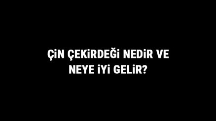 Çin Çekirdeği Nedir Ve Neye İyi Gelir Çin Çekirdeği Faydaları