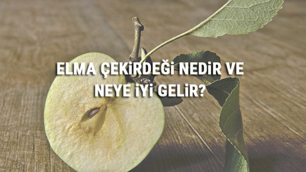 Elma Çekirdeği Nedir Ve Neye İyi Gelir Elma Çekirdeği Faydaları