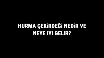 Hurma Çekirdeği Nedir Ve Neye İyi Gelir Hurma Çekirdeği Faydaları Hurma Çekirdeği Nedir Ve Neye İyi Gelir Hurma Çekirdeği Faydaları
