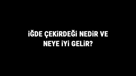 İğde Çekirdeği Nedir Ve Neye İyi Gelir İğde Çekirdeği Faydaları