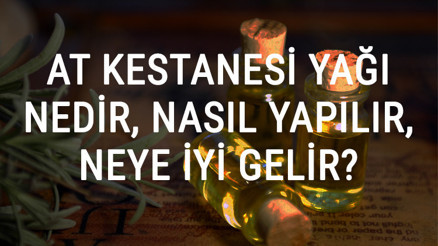 At Kestanesi Yağı Nedir, Nasıl Yapılır Ve Neye İyi Gelir At Kestanesi Yağı Faydaları Ve Kullanımı At Kestanesi Yağı Nedir, Nasıl Yapılır Ve Neye İyi Gelir At Kestanesi Yağı Faydaları Ve Kullanımı