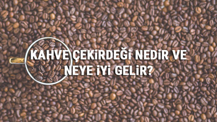 Kahve Çekirdeği Nedir Ve Neye İyi Gelir Kahve Çekirdeği Faydaları
