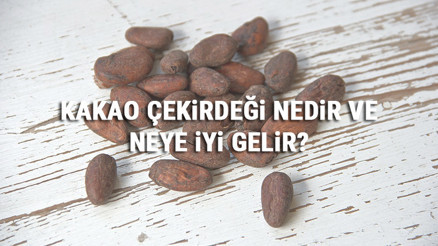 Kakao Çekirdeği Nedir Ve Neye İyi Gelir Kakao Çekirdeği Faydaları