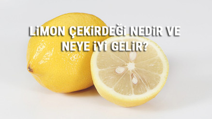 Limon Çekirdeği Nedir Ve Neye İyi Gelir Limon Çekirdeği Faydaları