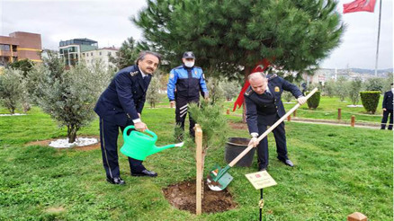 Trabzonda karekod uygulamalı şehit fidanlığı oluşturuldu