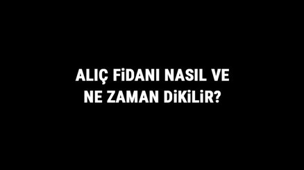 Alıç Fidanı Nasıl Ve Ne Zaman Dikilir Alıç Fidanı Yetiştirme, Bakımı Ve Fiyatları Alıç Fidanı Nasıl Ve Ne Zaman Dikilir Alıç Fidanı Yetiştirme, Bakımı Ve Fiyatları