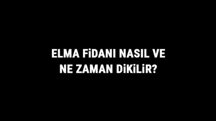 Elma Fidanı Nasıl Ve Ne Zaman Dikilir Elma Fidanı Yetiştirme, Bakımı Ve Fiyatları