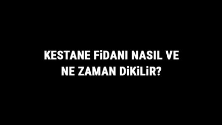 Kestane Fidanı Nasıl Ve Ne Zaman Dikilir Kestane Fidanı Yetiştirme, Bakımı Ve Fiyatları