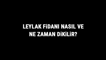Leylak Fidanı Nasıl Ve Ne Zaman Dikilir Leylak Fidanı Yetiştirme, Bakımı Ve Fiyatları