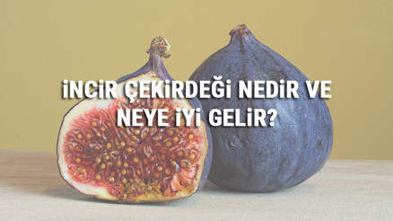 İncir Çekirdeği Nedir Ve Neye İyi Gelir İncir Çekirdeği Faydaları