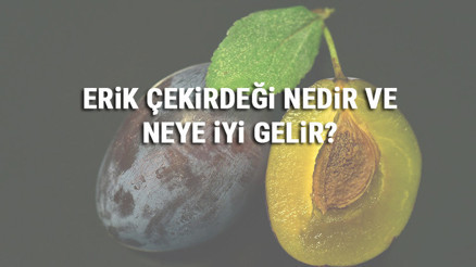 Erik Çekirdeği Nedir Ve Neye İyi Gelir Erik Çekirdeği Faydaları Erik Çekirdeği Nedir Ve Neye İyi Gelir Erik Çekirdeği Faydaları