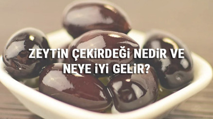 Zeytin Çekirdeği Nedir Ve Neye İyi Gelir Zeytin Çekirdeği Faydaları Zeytin Çekirdeği Nedir Ve Neye İyi Gelir Zeytin Çekirdeği Faydaları