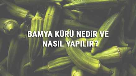 Bamya Kürü Nedir Ve Nasıl Yapılır Bamya Kürü Faydaları Ve Tarifi