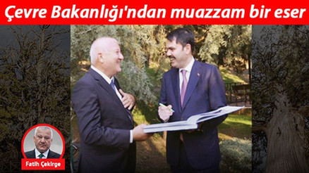 Çevre Bakanlığı’ndan muazzam bir eser: Tabiatın sessiz tanıkları anıt ağaçlar