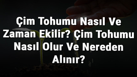 Çim Tohumu Nasıl Ve Zaman Ekilir Çim Tohumu Nasıl Olur Ve Nereden Alınır