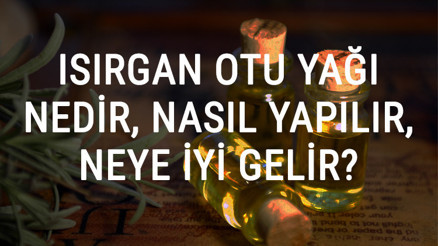 Isırgan Otu Yağı Nedir, Nasıl Yapılır Ve Neye İyi Gelir Isırgan Otu Yağı Faydaları Ve Kullanımı