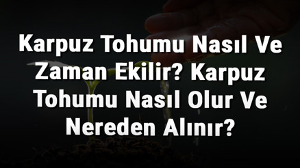 Karpuz Tohumu Nasıl Ve Zaman Ekilir Karpuz Tohumu Nasıl Olur Ve Nereden Alınır
