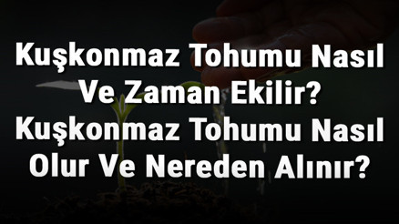 Kuşkonmaz Tohumu Nasıl Ve Zaman Ekilir Kuşkonmaz Tohumu Nasıl Olur Ve Nereden Alınır