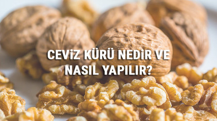 Ceviz Kürü Nedir Ve Nasıl Yapılır Ceviz Kürü Faydaları Ve Tarifi